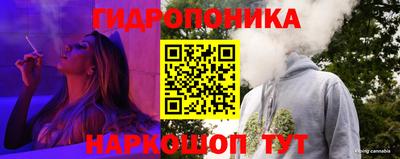 тгк Кимры