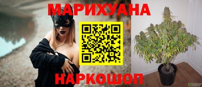 прущая мука Кингисепп