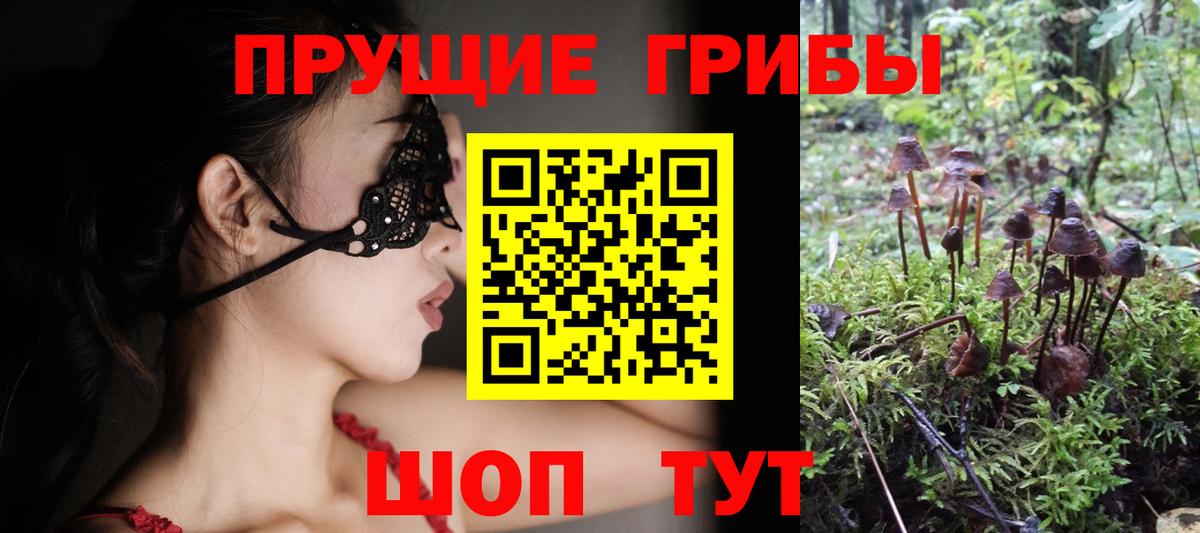 Кисловодск  Галлюциногенные грибы Psilocybine cubensis  наркошоп  Вход с VPN  Псилоцибиновые грибы прущие грибы 